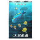 Recherche de requins calendriers Tortue