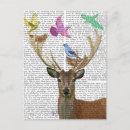 Recherche de nid d oiseau cartes postales Cerf