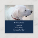 Recherche de chiot bleu cartes visite Animal de compagnie