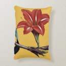 Recherche de amaryllis coussins Fleur d'amaryllis