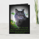 Recherche de furball Chats