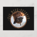 Recherche de souris cartes postales Adorable