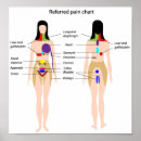 Recherche de chiropractique posters Docteur