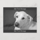 Recherche de roche noire cartes postales Nature