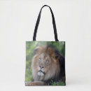 Recherche de chat nuptiale sacs Photographie de la faune