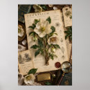 Recherche de hellebore posters Botanique