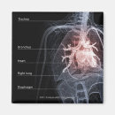 Recherche de coeur humain magnets Vertical