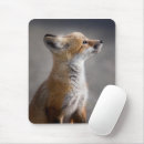 Recherche de odeur tapis souris Animal