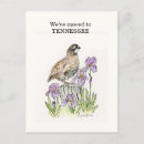 Recherche de tennessee cartes postales Tennesey