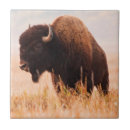 Recherche de américain carreaux Taureau