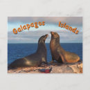 Recherche de fourrure cartes postales Faune