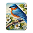 Recherche de oisseaux magnets Amoureux des oiseaux