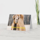 Recherche de mercredi vœux cartes Drôle