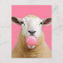 Recherche de moutons blancs cartes postales Drôle