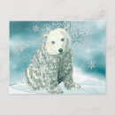 Recherche de polaire ours cartes postales Froid