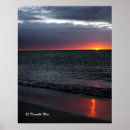 Recherche de lumineux posters Floride