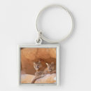 Recherche de cougar porteclés Nature
