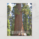 Recherche de parc national séquoia cartes postales Nature