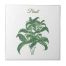 Recherche de herbe carreaux Jardin