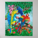 Recherche de bird of paradise posters Birds