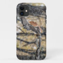 Recherche de fauconnerie iphone coques Oiseau