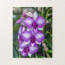 Recherche de orchidée blanche puzzles Pour tous