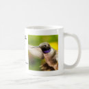 Recherche de colibris tasses Oiseaux