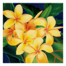 Recherche de plumeria posters Hawaii