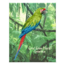 Recherche de perroquet vert posters Forêt tropicale