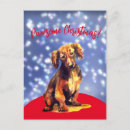 Recherche de saucisses chien posters Dogs