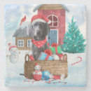 Recherche de weimaraner dessous de verres Animal