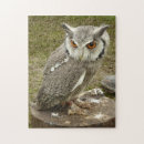 Recherche de aigle noir puzzles Sauvage
