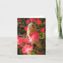 Recherche de pygmée vœux cartes Singe