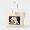 Recherche de maltais sacs Chiot