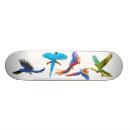 Recherche de fou skateboards Coloré