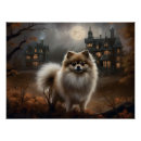 Recherche de chien pomeranian posters Poméranien