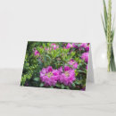 Recherche de rhododendron vœux cartes Blanc