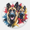 Recherche de malinois autocollants Animal