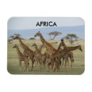 Recherche de afrique magnets Tanzanie