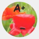 Recherche de coquelicot autocollants Rouge