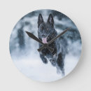 Recherche de loup de chien horloges Chiens