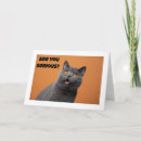 Recherche de chat heureux Anniversaire