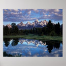 Recherche de evergreen posters Forest