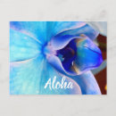 Recherche de orchidées bleues cartes postales Tropical