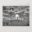 Recherche de un oeil cartes postales Paysage