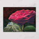 Recherche de amour abstrait cartes postales Rose