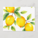 Recherche de vert citron cartes postales Botanique