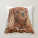 Recherche de cavalier king charles spaniel coussins Animal