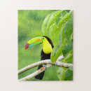 Recherche de toucan puzzles Vert