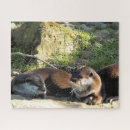 Recherche de loutre puzzles Sauvage